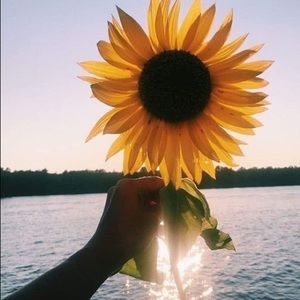 Meet your Posher, Raven